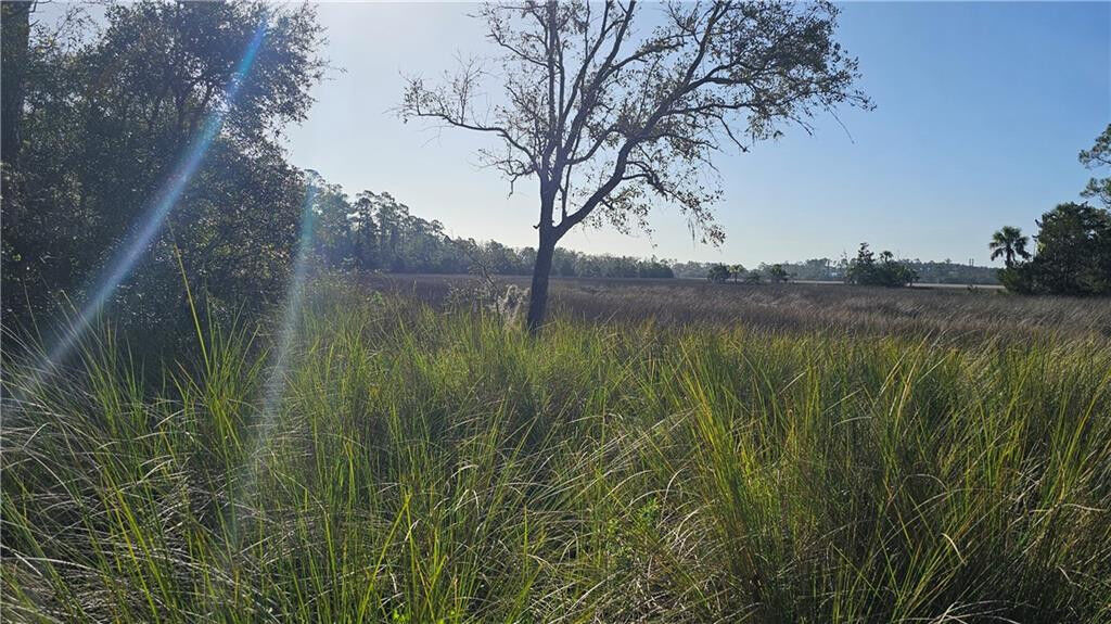 Property Photo: 304 Burford Road GA 31523
