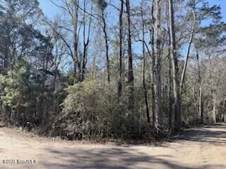 Property Photo: 138-140 Dogwood Lane GA 31320