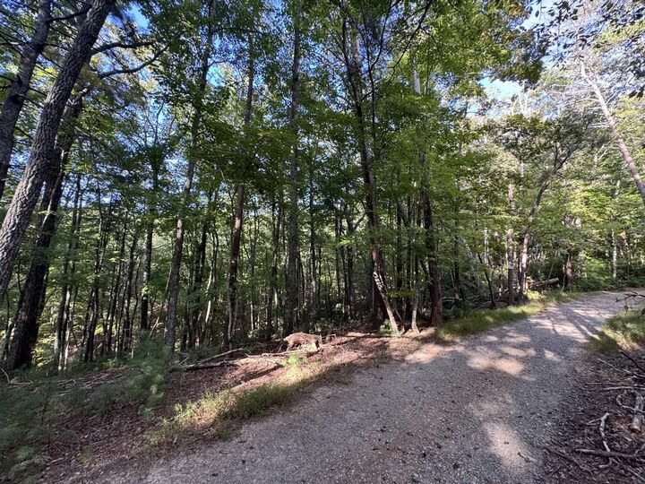 Property Photo:  73-76 Peach Lane  GA 30536 