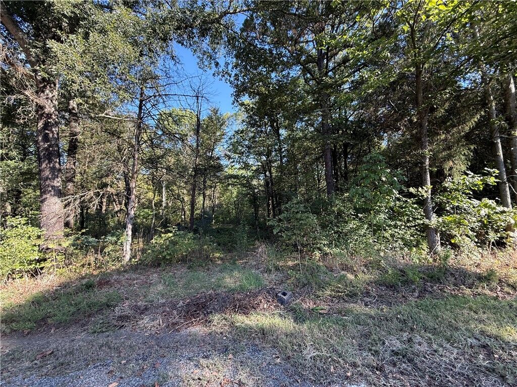 Property Photo:  Tbd Deerwood Lane Lane  AR 72834 