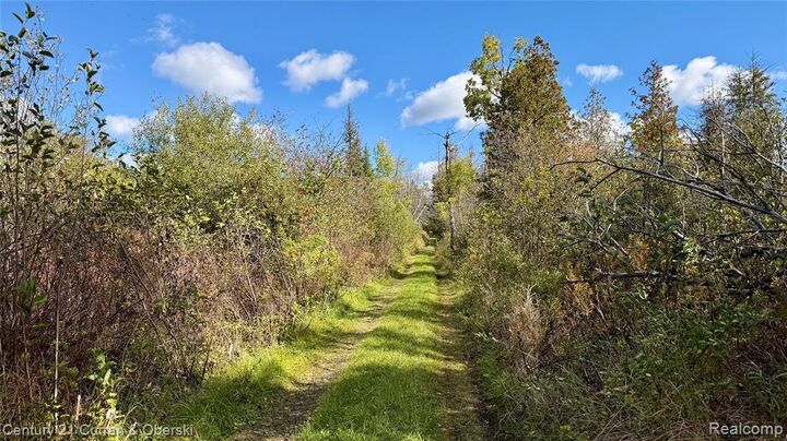 Property Photo:  Xxx Szymoniak Hwy  MI 49759 