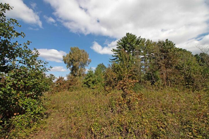 Property Photo:  Lot 1 White Pine  WI 53588 