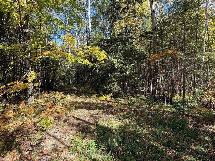 Property Photo:  Pt Lt 1-2 Concession 3 N/A  ON N4K 5N6 