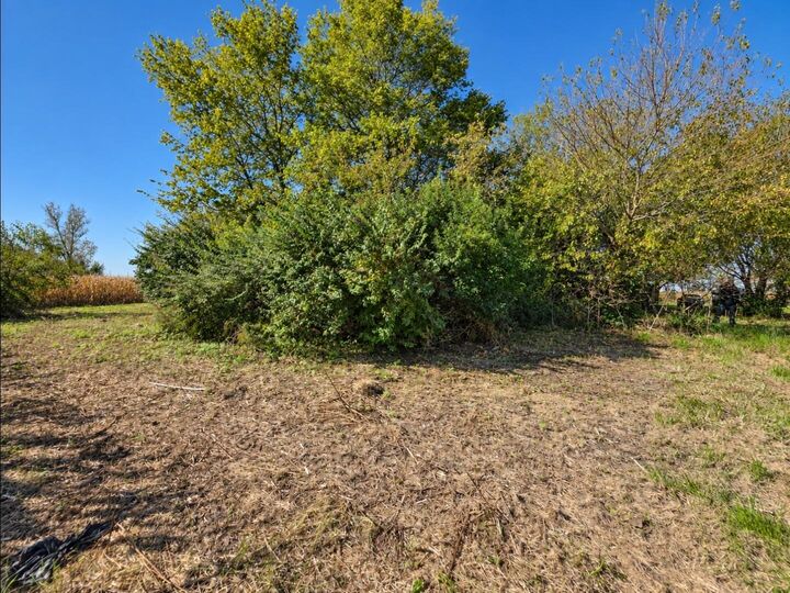 Property Photo:  1846 S Buena Vista Road  OH 45368 
