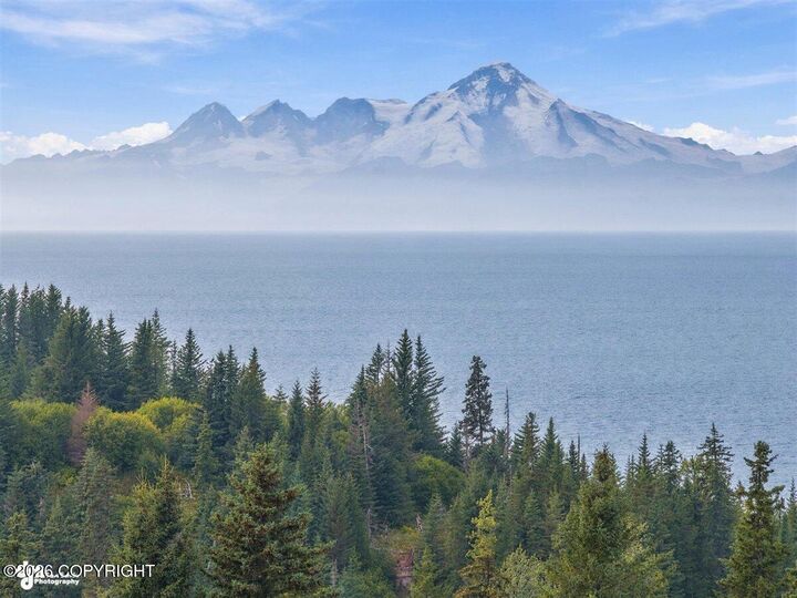 Property Photo: 28279 Sterling Highway AK 99556