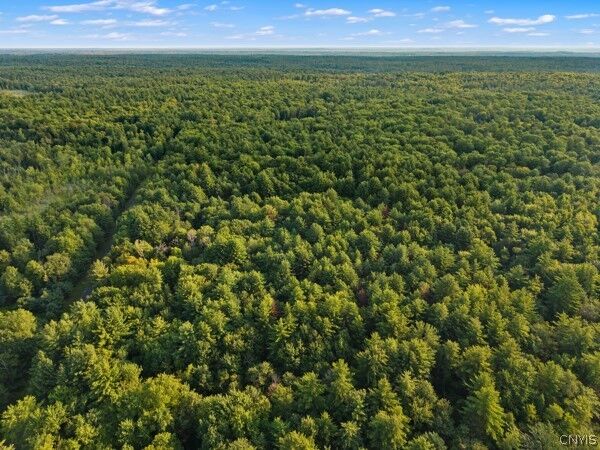 Property Photo: 568 Martin #1 Road NY 13042