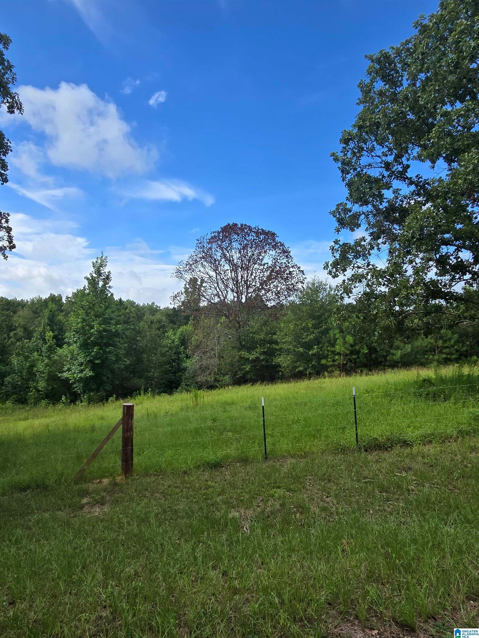 Property Photo: 0 County Road 73 1 AL 35115