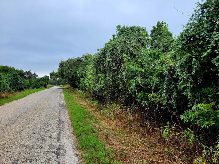 Property Photo:  446 Riverside Drive  TX 78602 