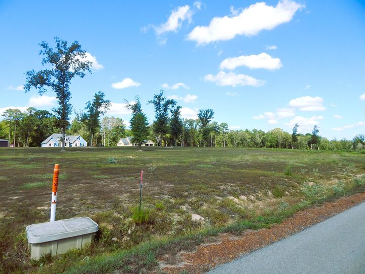Property Photo:  290 Indian Rock Dr  TX 75645 