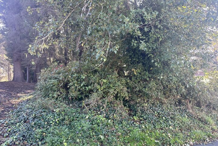 Property Photo: Tl14800 NW 36th Street OR 97367