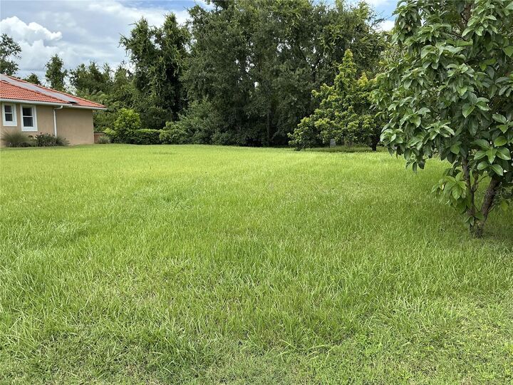 Property Photo: 21049 Los Cabos Court FL 34637