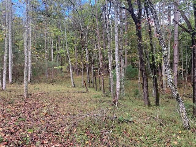 Property Photo:  Lot 132 Fox Cove Road  GA 30512 