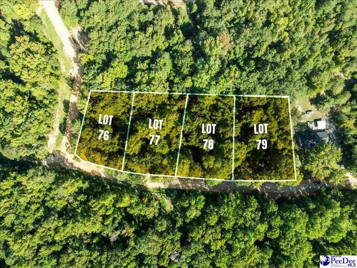 Property Photo:  0000 Jeffrey St. Lot 79  SC 29520 