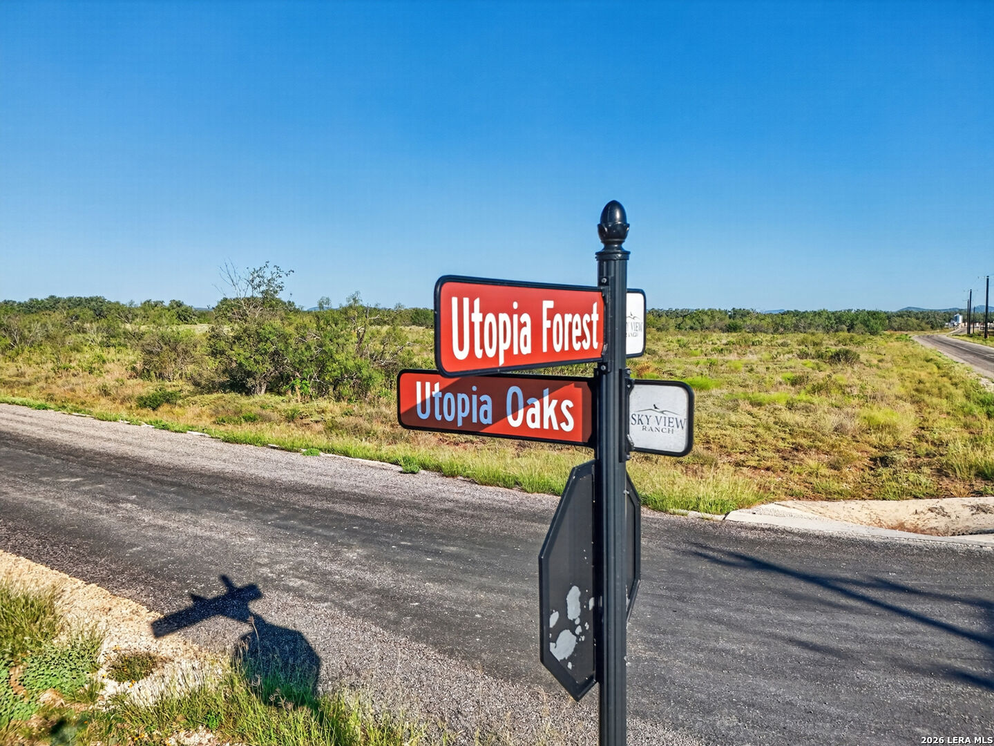 Property Photo:  Lot 134 Fm 1796  TX 78850 