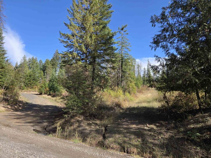 Property Photo:  20866 N Mt Carlton Rd  WA 99021 