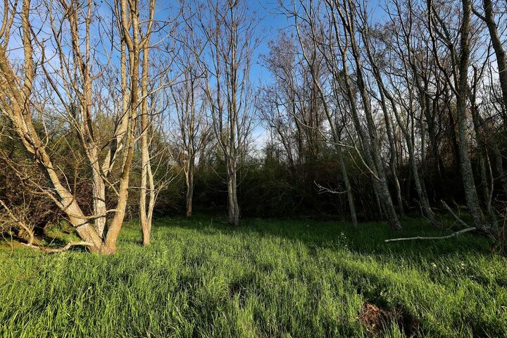 Property Photo:  00 Union Hill Rd.  GA 39828 