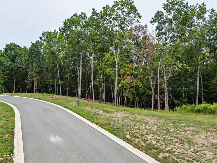 Property Photo: 239 Flip Flop Way TN 37774