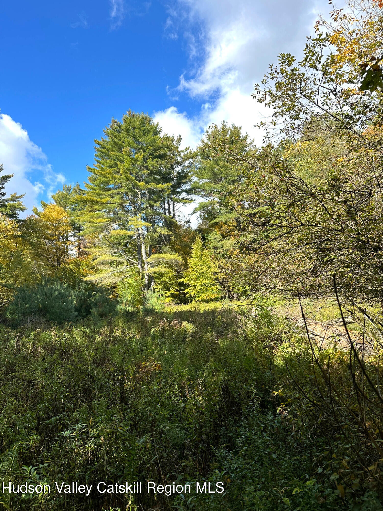 Property Photo:  0 Moore Hill Lot 3  NY 12169 