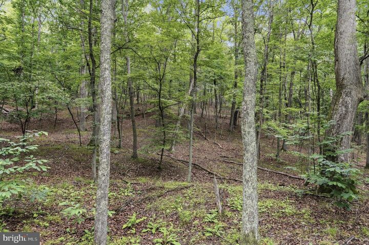 Property Photo:  0 Pioneer Trail Trail  WV 25422 