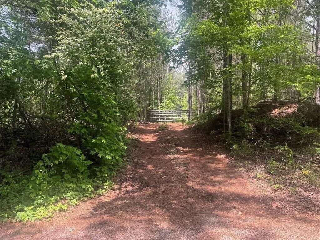 Property Photo: 0 Butler Bridge Road GA 30252