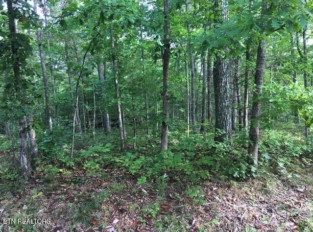 Property Photo:  106 Liverpool Circle  TN 38558 