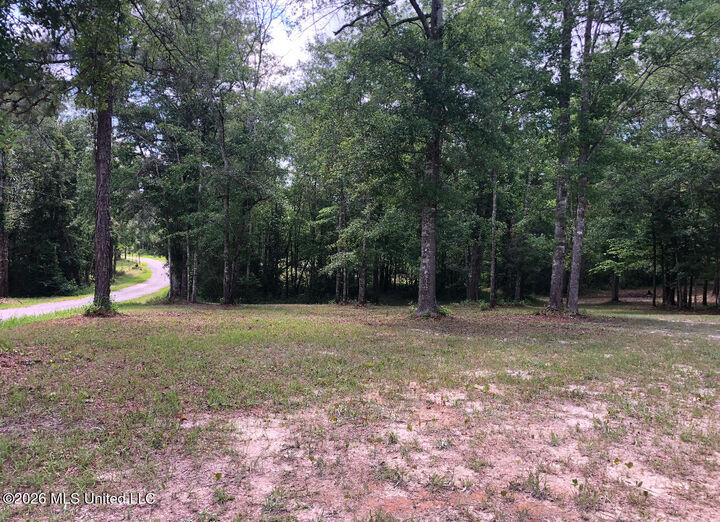 Property Photo: 2.88ac Morrison Drive MS 39452