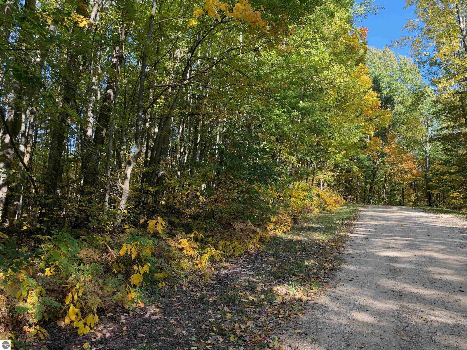 Property Photo:  Ticino Drive  MI 49677 