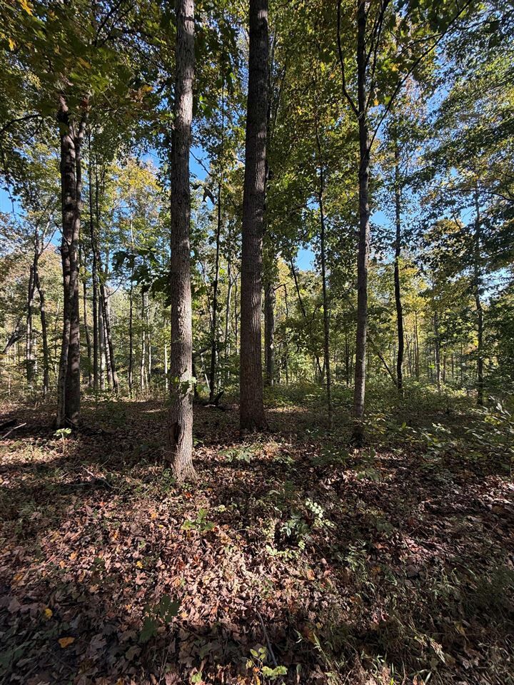 Property Photo:  0 Cornwell Road  KY 42164 