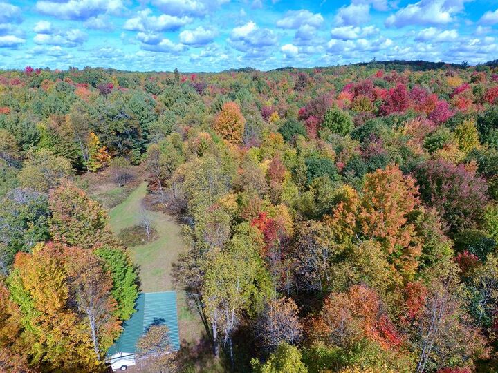 Property Photo: V/L S Bonney Road MI 49623