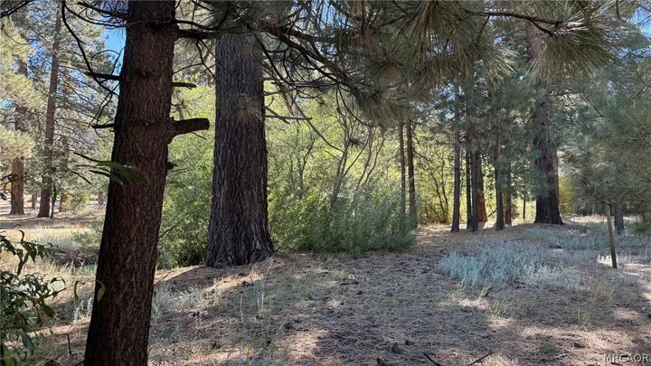 Property Photo:  776 Knickerbocker Road  CA 92315 