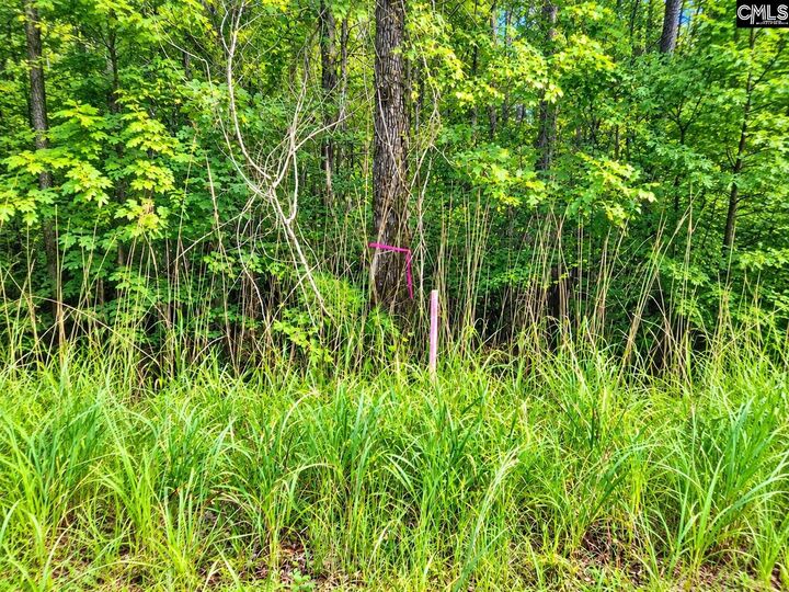 Property Photo: 667 Counts SC 29127