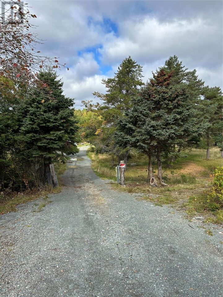Property Photo:  136-138 Farm Road  NL A0A 1K0 