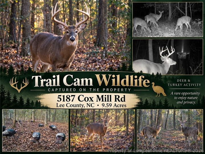 Property Photo:  5187 Cox Mill Road  NC 27332 