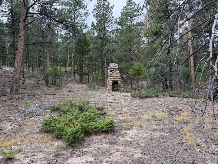 Property Photo: 0 Toboggan Rd CO 80470
