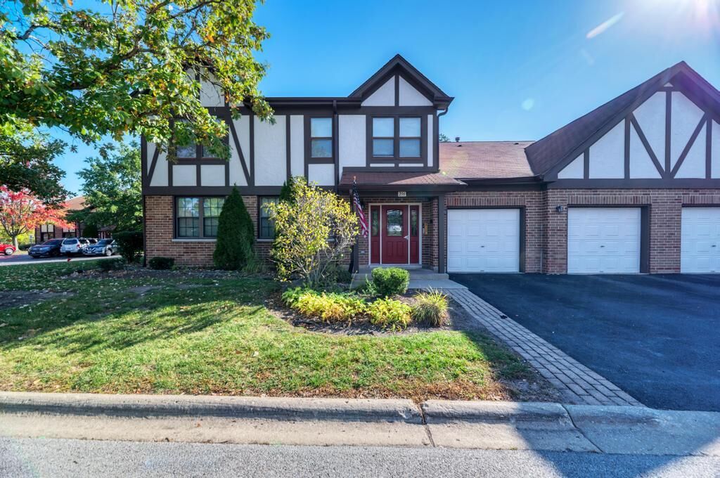 Property Photo:  216 Stoneybrook Lane  IL 60108 