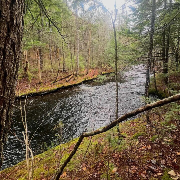 Property Photo:  Old Route 5, Big Bras Dor  NS B1X 1A2 