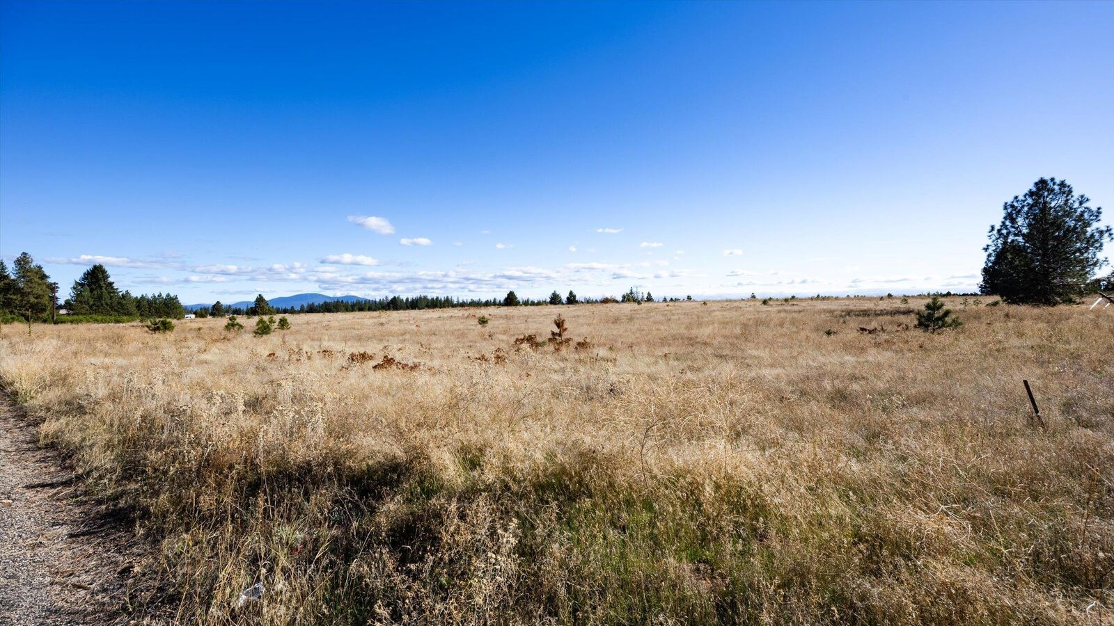 Property Photo: Xxx W Bridges Rd WA 99006