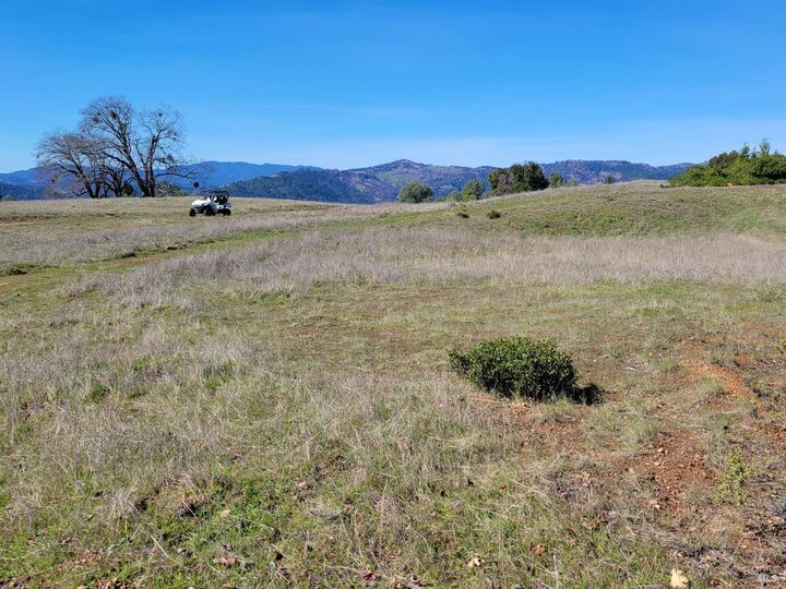 Property Photo:  43281 Covelo Road  CA 95490 