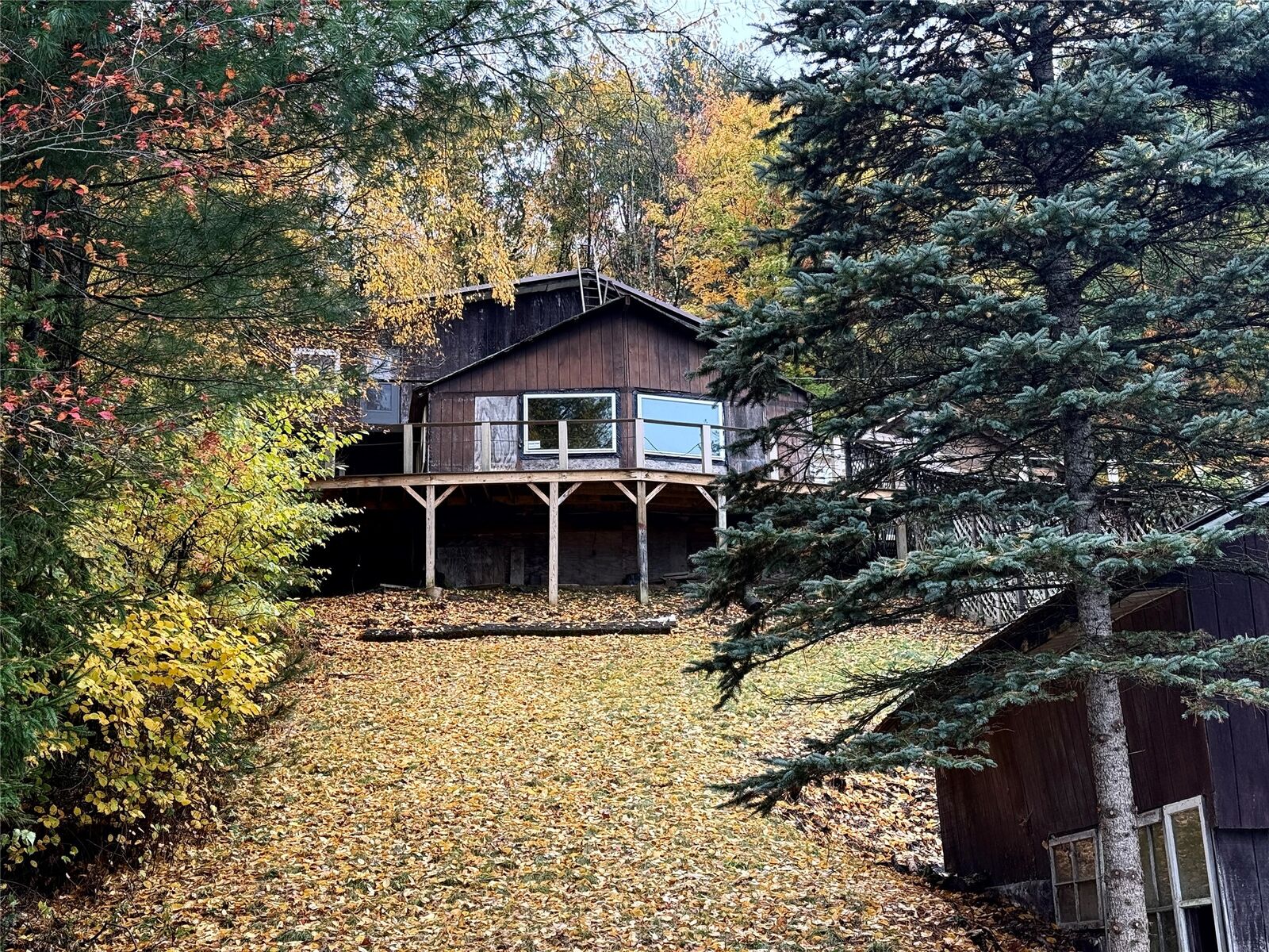 Property Photo: 189 White Birch Lake Road NY 13865