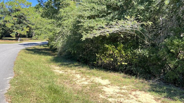 Property Photo: 4.48 Acres Tallokas Road FL 32536