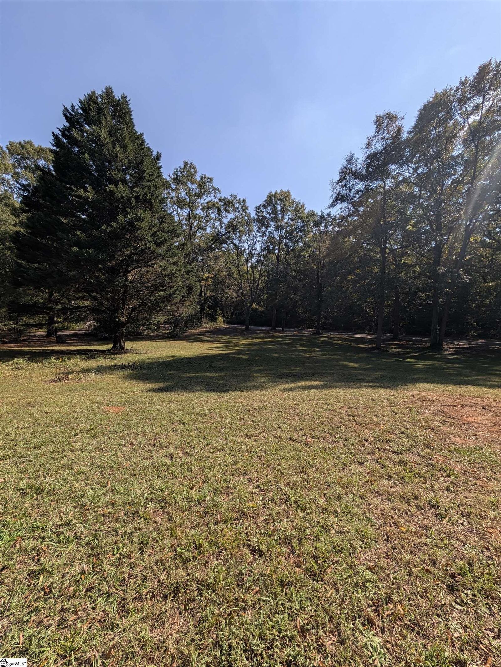 Property Photo:  22 Baldwin Street  SC 29654 