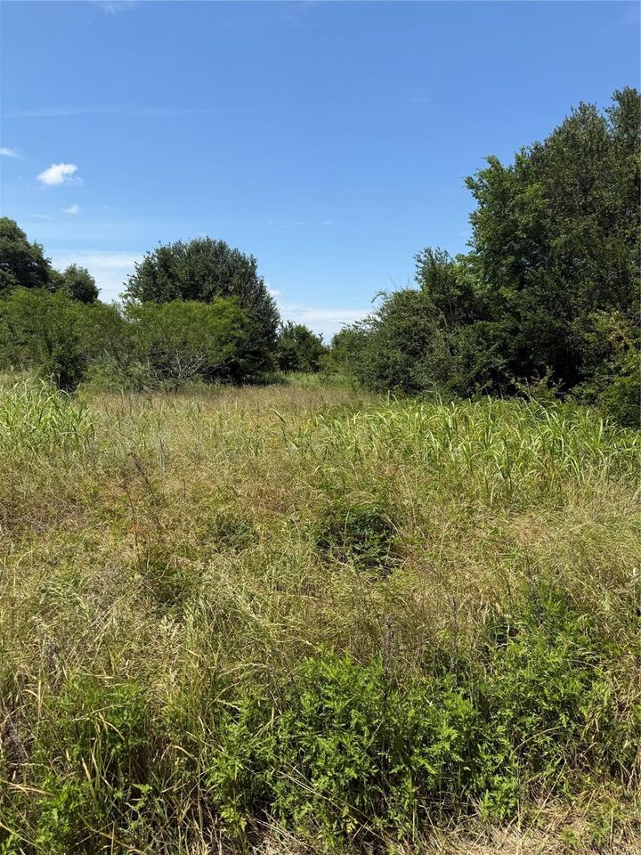Property Photo:  0 County Road 438  TX 77878 