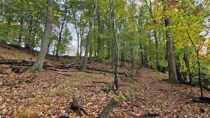 Property Photo:  X Spruce Road  NY 10940 