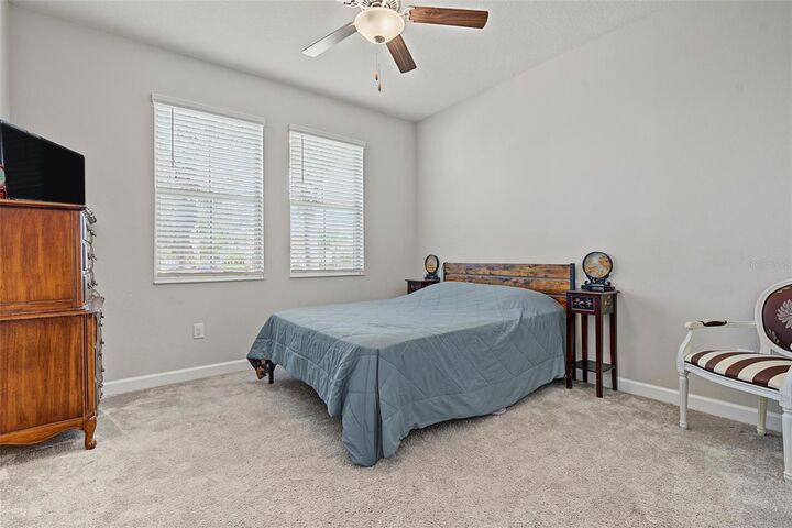 Property Photo:  31733 Cabana Rye Avenue  FL 33576 