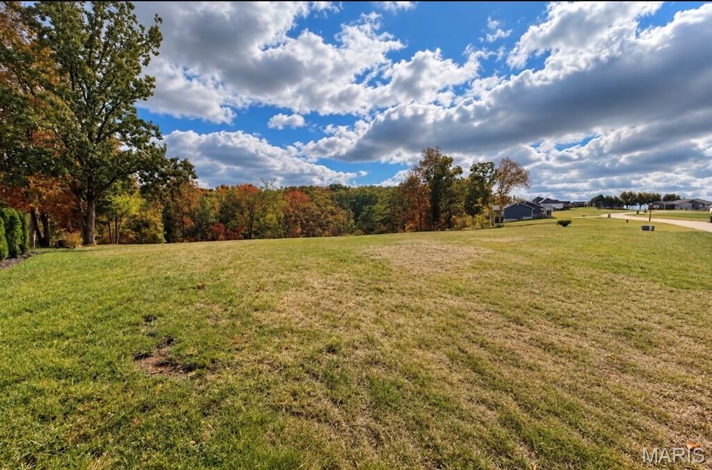 Property Photo:  1010 E Stonebridge Place  MO 63028 