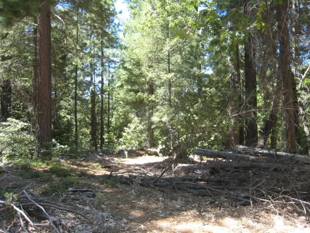 Property Photo:  46 Ringtail Road  CA 95634 