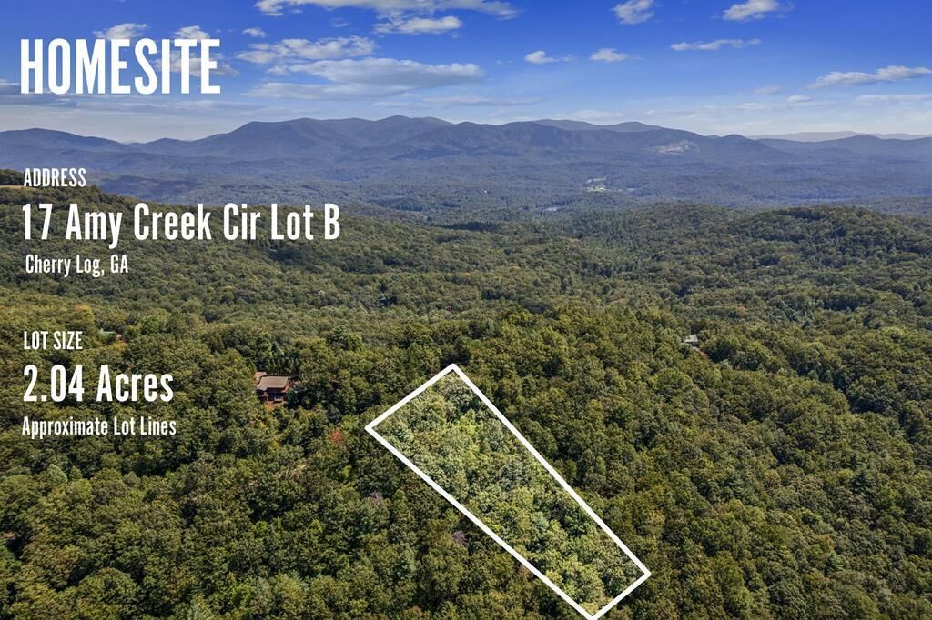 Property Photo:  Lot 17B Amy Creek Circle  GA 30540 