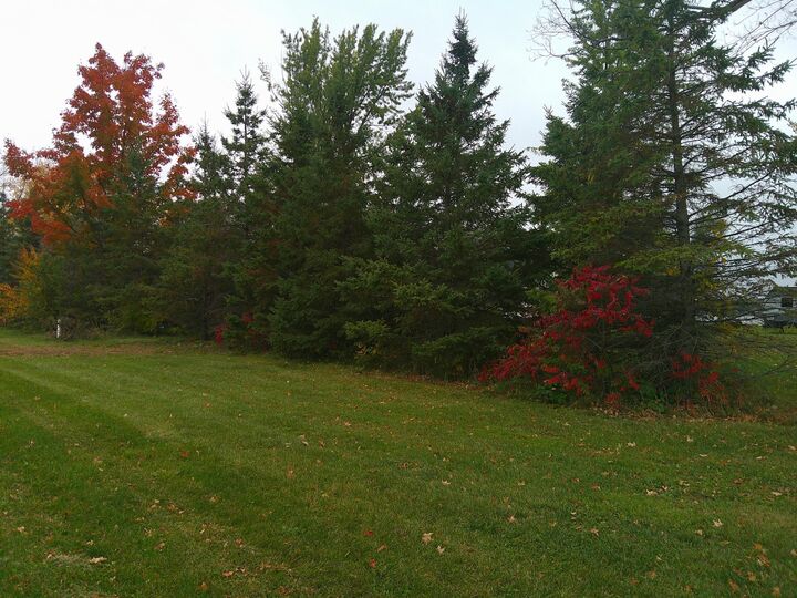 Property Photo:  51170 Rush Lake Trail  MN 55069 