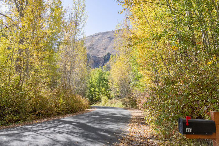 Property Photo:  431 W Cedar St  ID 83333 