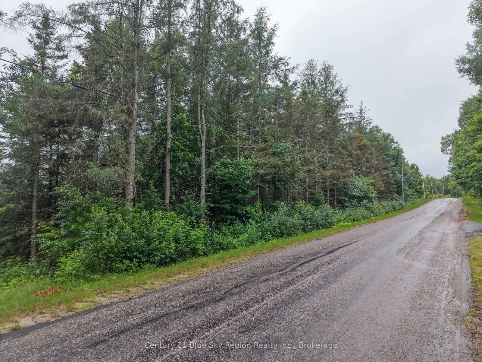Photo de la propriété:  Con 6 Pt Lt 17 Riding Ranch Road  ON P0A 1X0 